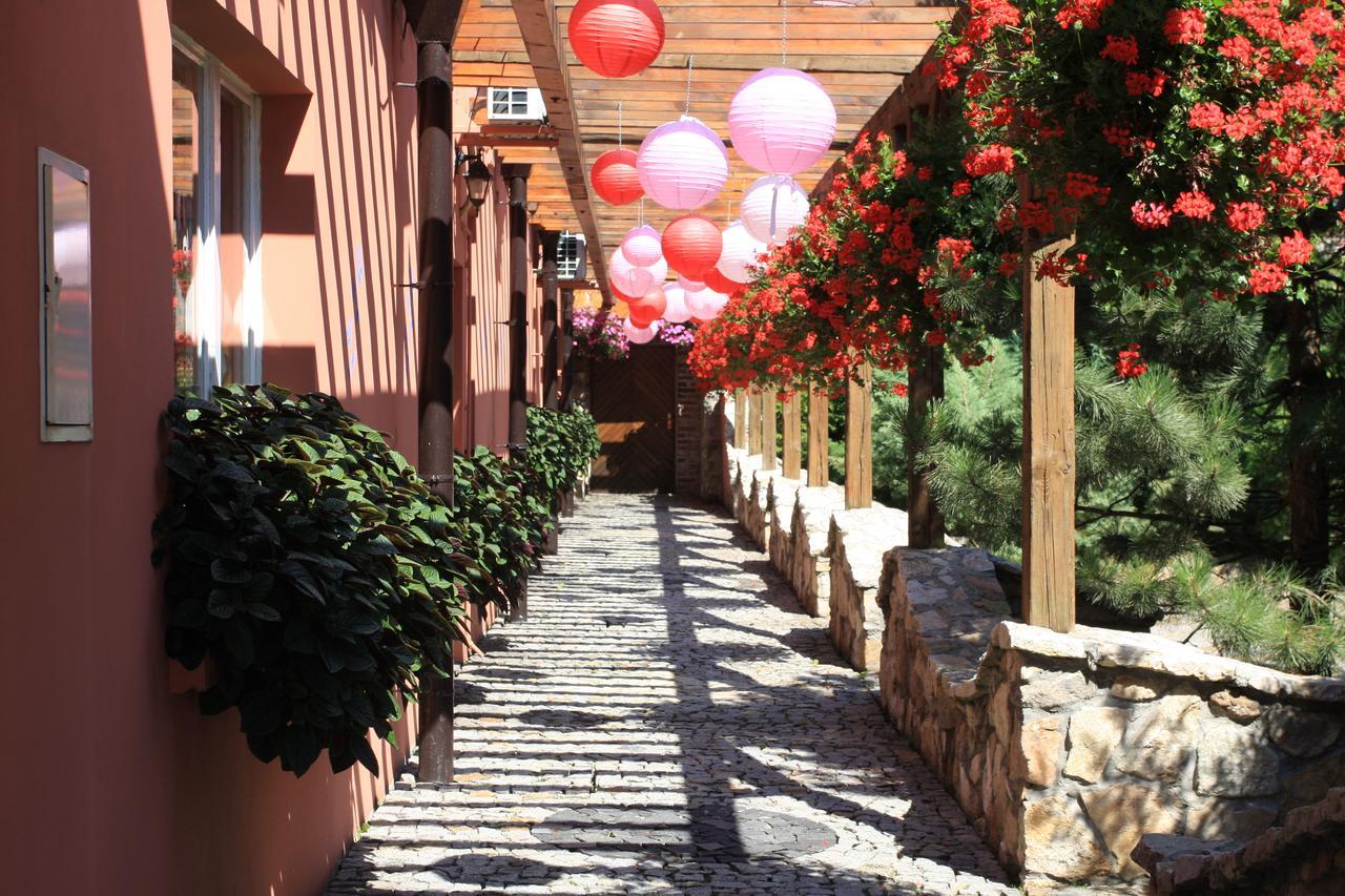 Hotel Restauracja Pustelnik Wisla Mala Εξωτερικό φωτογραφία